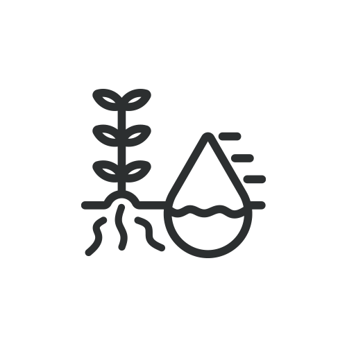soil humidity
